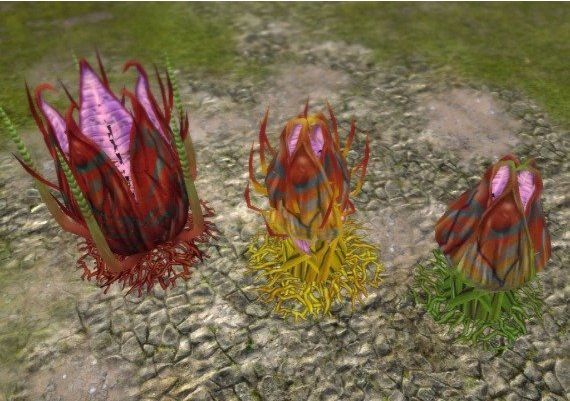 Defenders of Ardania: Conjurer's Tricks DLC EN/DE/FR/IT/ES Global Steam Digital Key