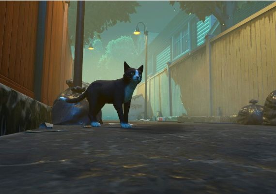 Copycat Global Steam Digital Key