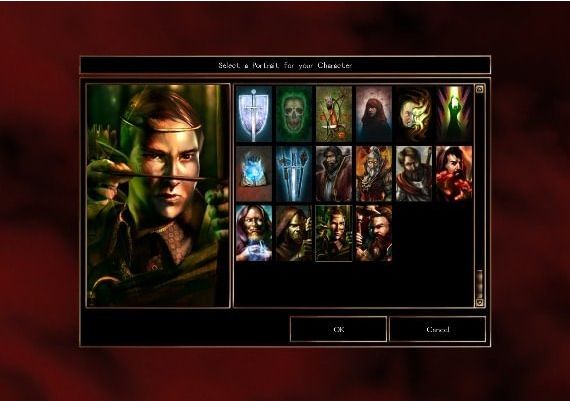 Neverwinter Nights: Heroes of Neverwinter DLC EN Global Steam Digital Key