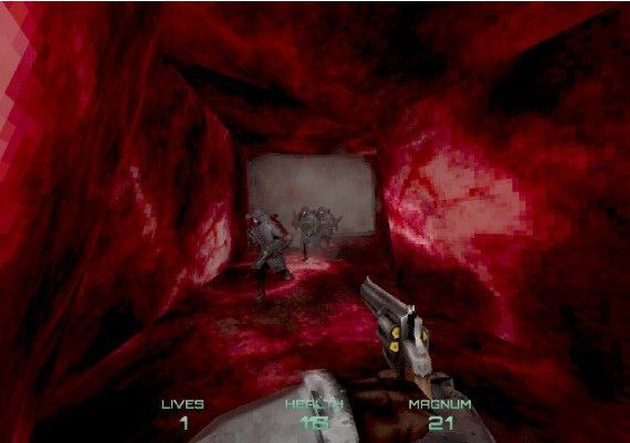 Incision EN Global Steam Digital Key