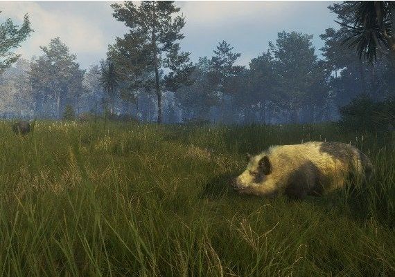 theHunter: Call of the Wild - Gold Bundle EN Argentina Xbox One/Series Digital Key