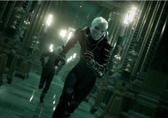 Echo EN/DE/FR Global Steam Digital Key