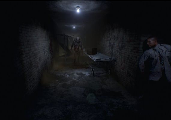 Roots of Insanity Global Steam Digital Key