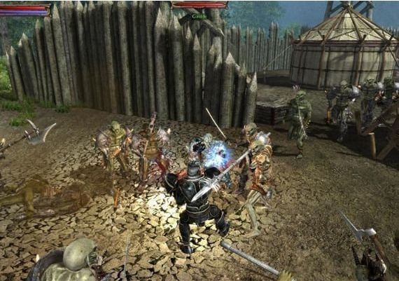 Two Worlds Epic Edition EN/DE/FR/IT/PL/CS/RU/ES Global Steam Digital Key