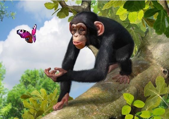 Zoo Tycoon - Ultimate Animal Collection Global Steam Digital Key