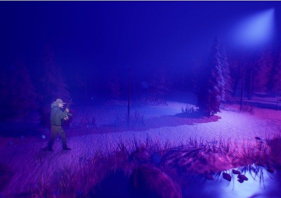 Diacrisis EN Global Steam Digital Key