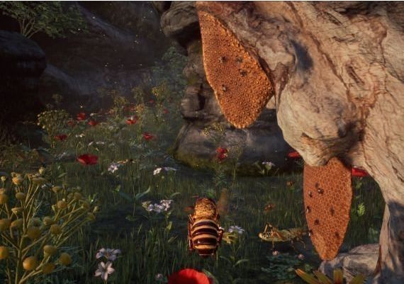 Bee Simulator Global Steam Digital Key