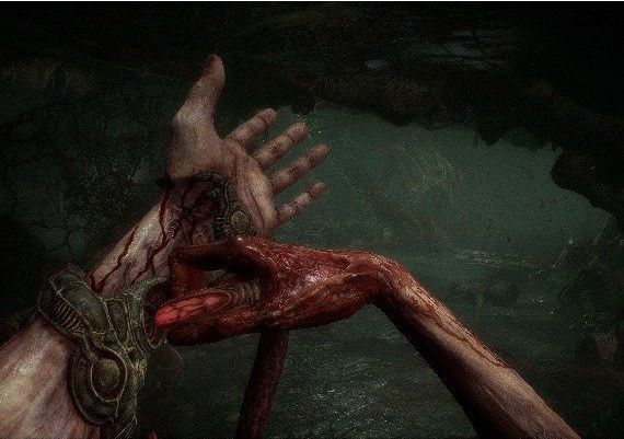 Scorn Deluxe Edition Global Steam Digital Key