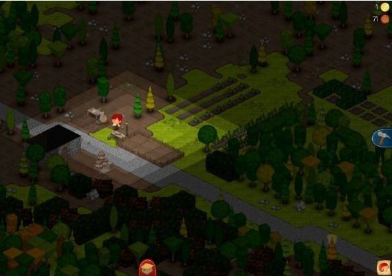 TownCraft EN Global Steam Digital Key