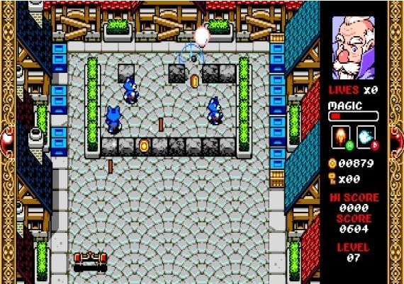 Wizorb EN/FR Global Steam Digital Key