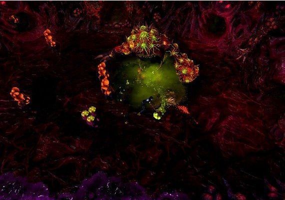 Obey Me Complete Edition EN Argentina Xbox One/Series Digital Key