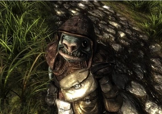 Risen 1 EN Argentina Xbox One/Series Digital Key