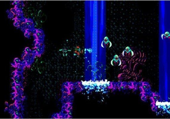 Outbuddies DX EN Global Steam Digital Key