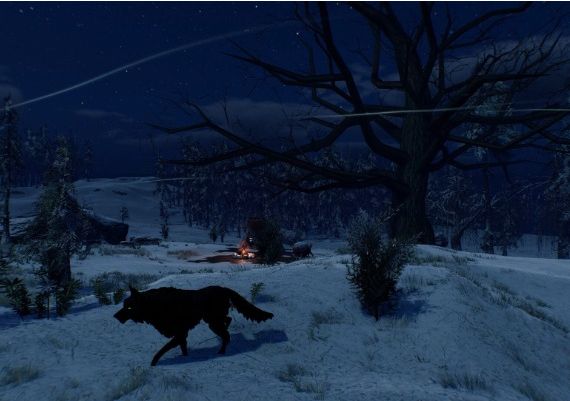 ASKA EN/DE/RO Global Steam Digital Key