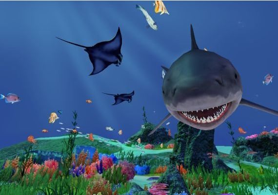 Fancy Fishing VR EN Global Steam Digital Key