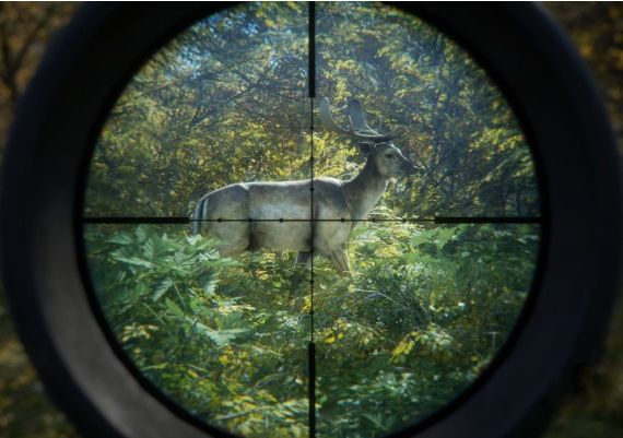 theHunter: Call of the Wild - Emerald Coast Cosmetic Pack DLC EN Global Steam Digital Key