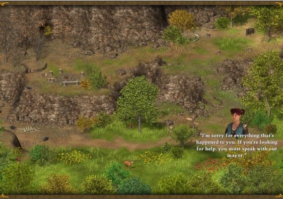 Hero of the Kingdom III EN/FR/IT Global Steam Digital Key