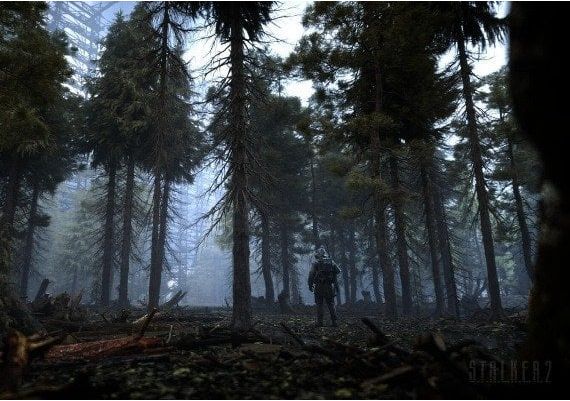 S.T.A.L.K.E.R. 2: Heart of Chornobyl PRE-ORDER EN Ukraine Xbox Series Digital Key