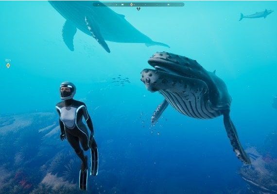 Beyond Blue EU Xbox One/Series Digital Key