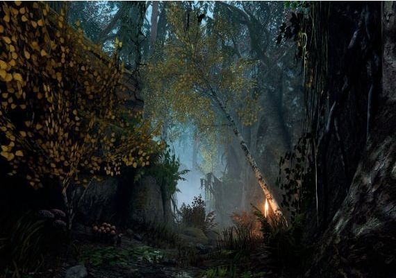 Warhammer: Vermintide 2 - Back to Ubersreik DLC EN/DE/FR/IT/PL/PT/RU/ZH EU Steam Digital Key