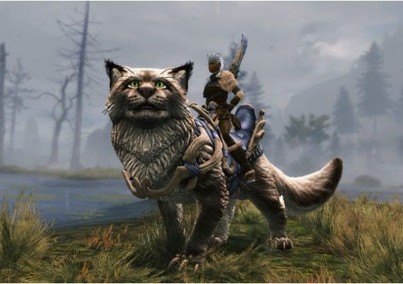 Guild Wars 2: Janthir Wilds DLC EN/DE/FR/ES Global Steam Digital Key