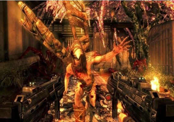 Shadow Warrior Special Edition EN Global Steam Digital Key