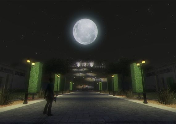 Secret World Legends - Dawn of the Morninglight DLC Collector's Edition EN/DE/FR Global Steam Digital Key