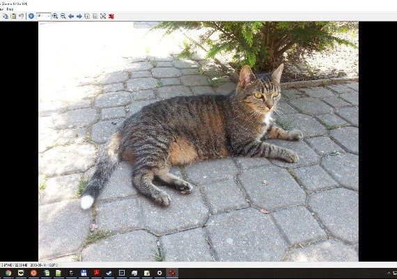 The USB Stick Found in the Grass EN Global Steam Digital Key