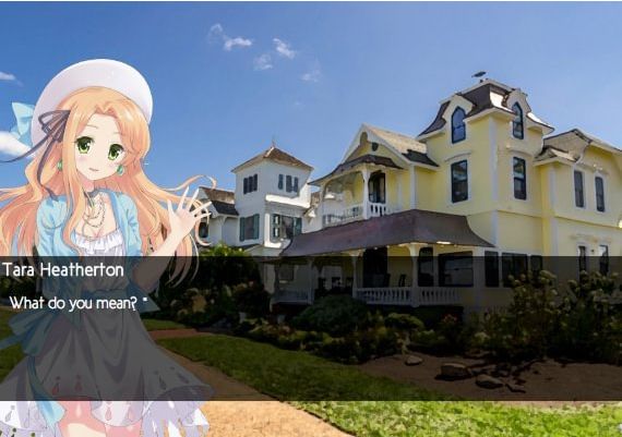 One Last Chance Deluxe Edition EN Global Steam Digital Key