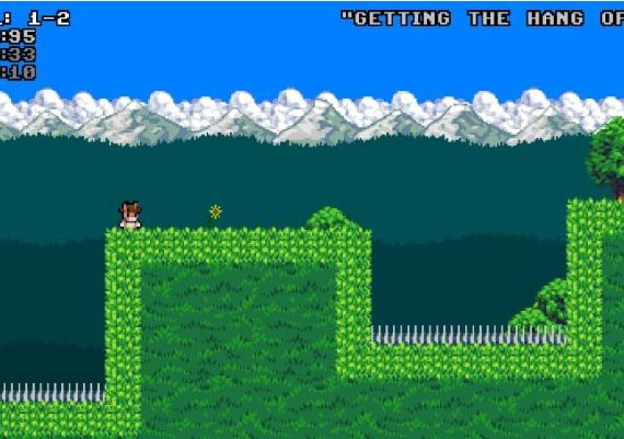 Deranged Rabbits EN Global Steam Digital Key