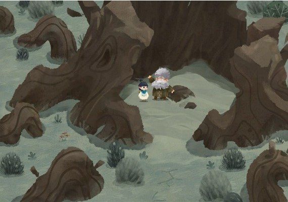 Carto EU Steam Digital Key