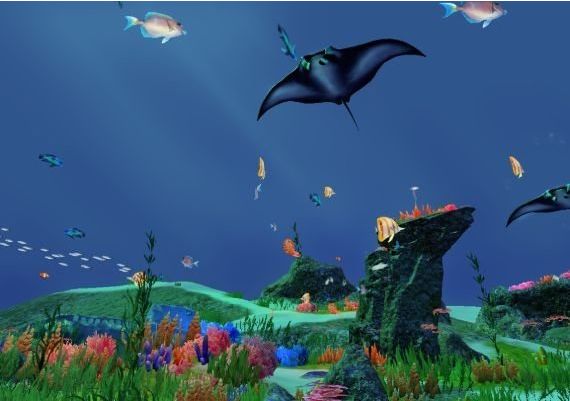 Fancy Fishing VR EN Global Steam Digital Key