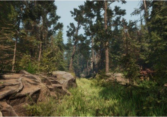 A Walk in the Woods VR EN Global Steam Digital Key