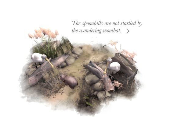 Paperbark Global Steam Digital Key