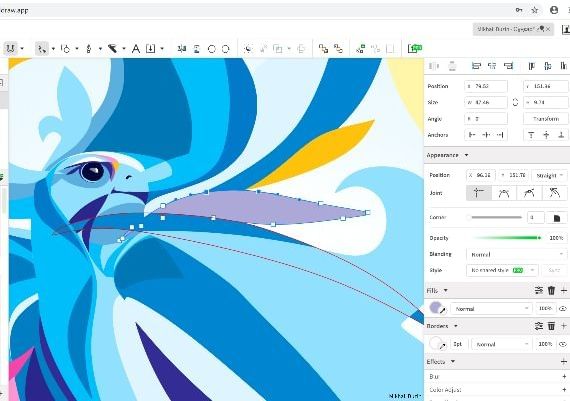 Coreldraw Graphics Suite 2019 1 Dev EN Global Software License Digital Key