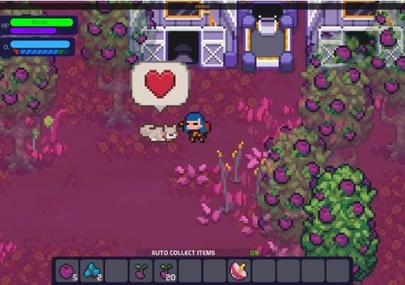 Nova Lands EN Global Xbox One/Series Digital Key