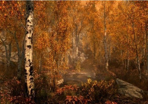 The Elder Scrolls V: Skyrim EN United States Nintendo Switch Digital Key