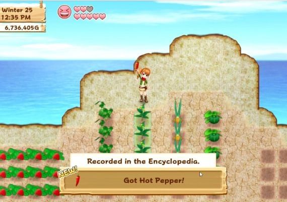 Harvest Moon: Light of Hope Special Edition EN Global Steam Digital Key
