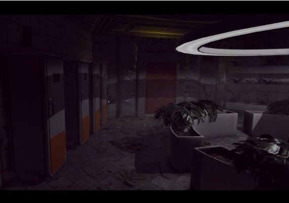 The Voidness EN Global Steam Digital Key