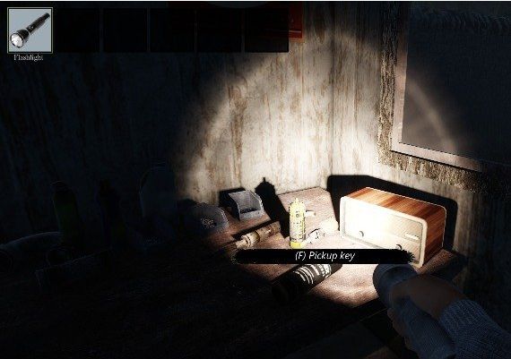 Room 54 EN/IT Global Steam Digital Key