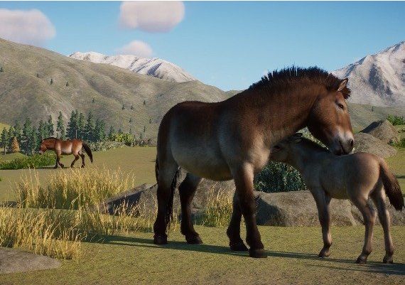 Planet Zoo: Conservation Pack DLC Global Steam Digital Key