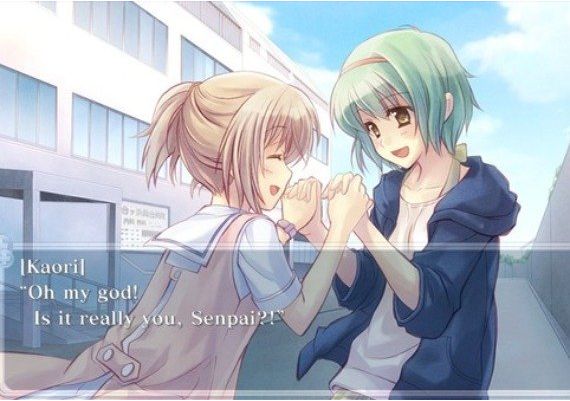 Nurse Love Syndrome EN/JA/ZH/ZH Global Steam Digital Key