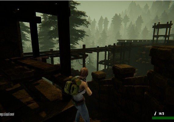 Jane Westlake Adventures: The Mystery Train EN Global Steam Digital Key