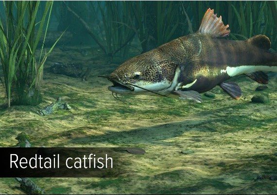 Ultimate Fishing Simulator - Amazon River DLC Global Steam Digital Key