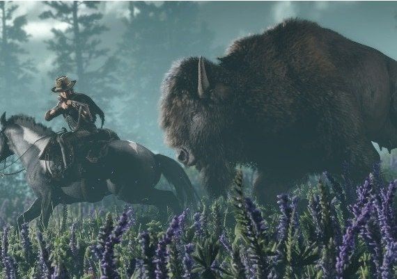 Red Dead: Online EN Nigeria Xbox One/Series Digital Key