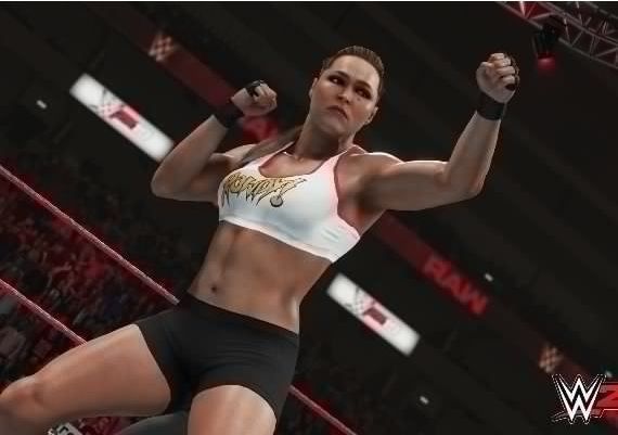 WWE 2K19 EN/DE/FR/IT/ES/AR EU Steam Digital Key