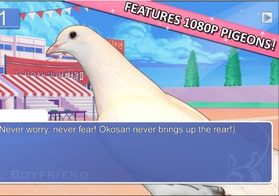 Hatoful Boyfriend EN/DE/FR/IT/JA/RU/ES Global Steam Digital Key