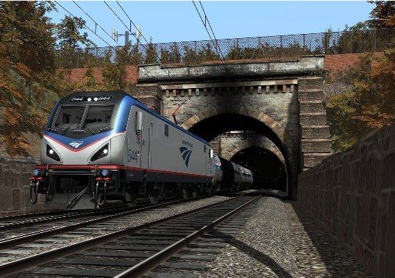 Train Simulator 2022 EN/DE/FR/IT/PL/RU/ZH/ES Global Steam Digital Key
