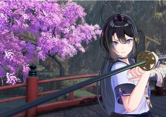 Samurai Maiden Deluxe Edition EN/JA/KO/ZH Global Steam Digital Key