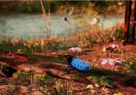 Away: The Survival Series EN Turkey Xbox One/Series Digital Key